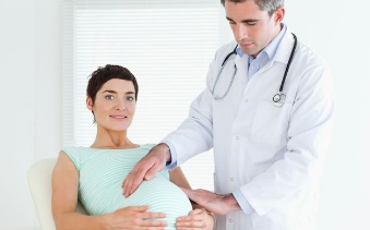 胚胎实验室